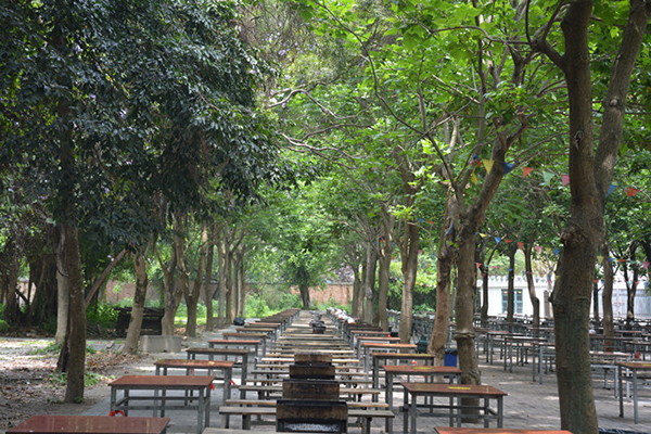 1475736815645158.jpg 2.jpg